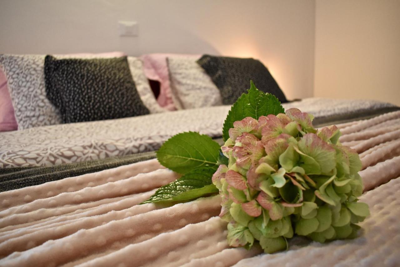 Rooms Ravnik Bled Zewnętrze zdjęcie