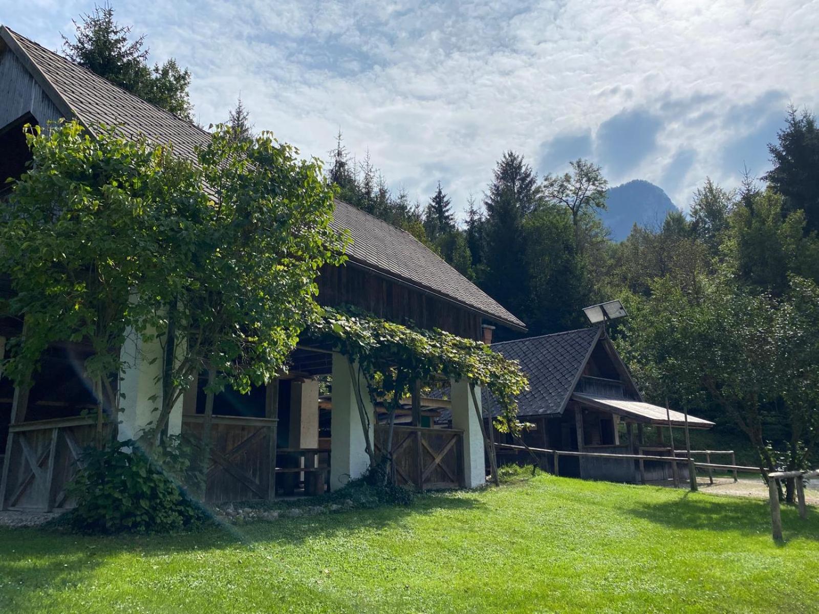 Rooms Ravnik Bled Zewnętrze zdjęcie
