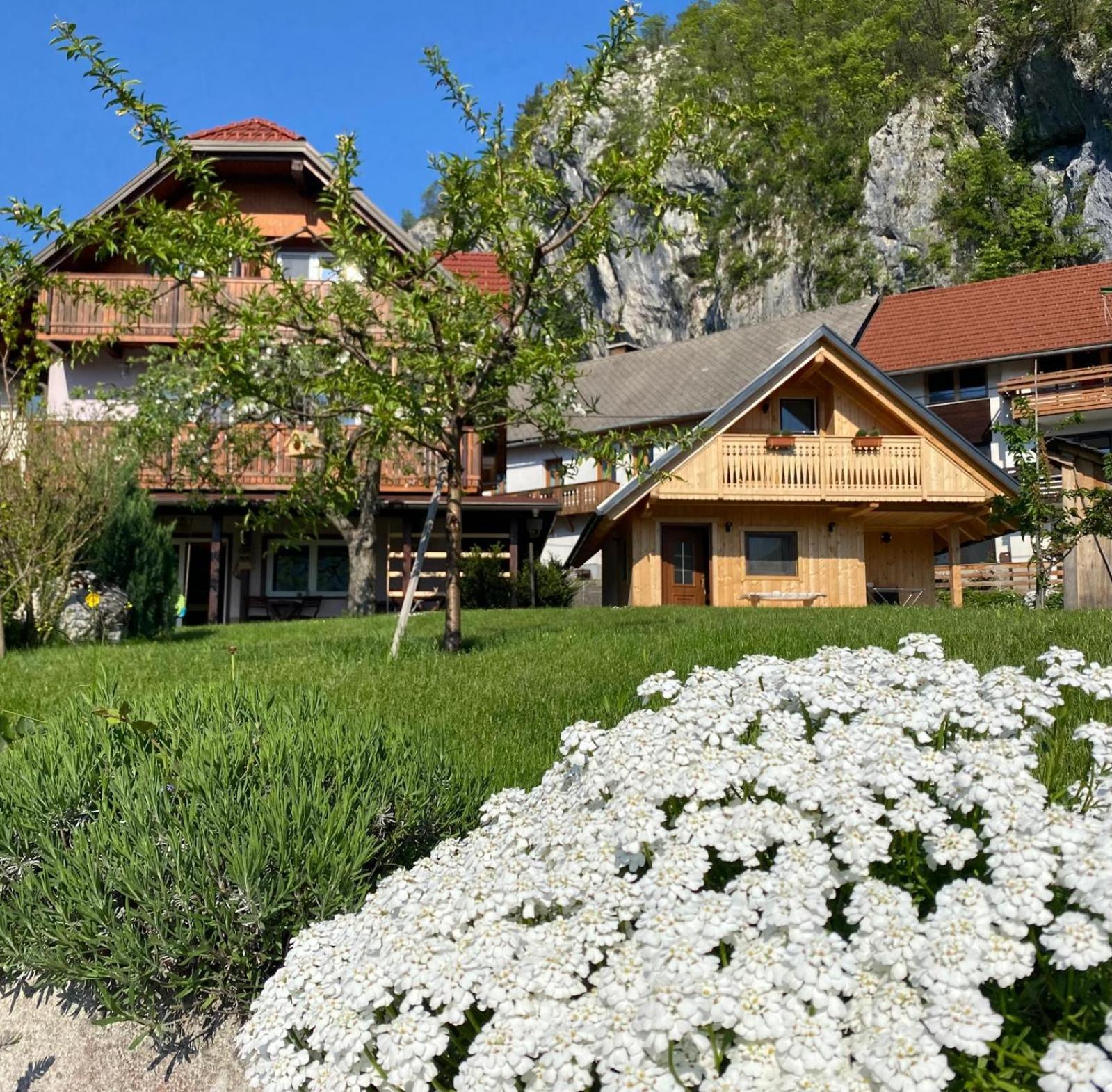 Rooms Ravnik Bled Zewnętrze zdjęcie
