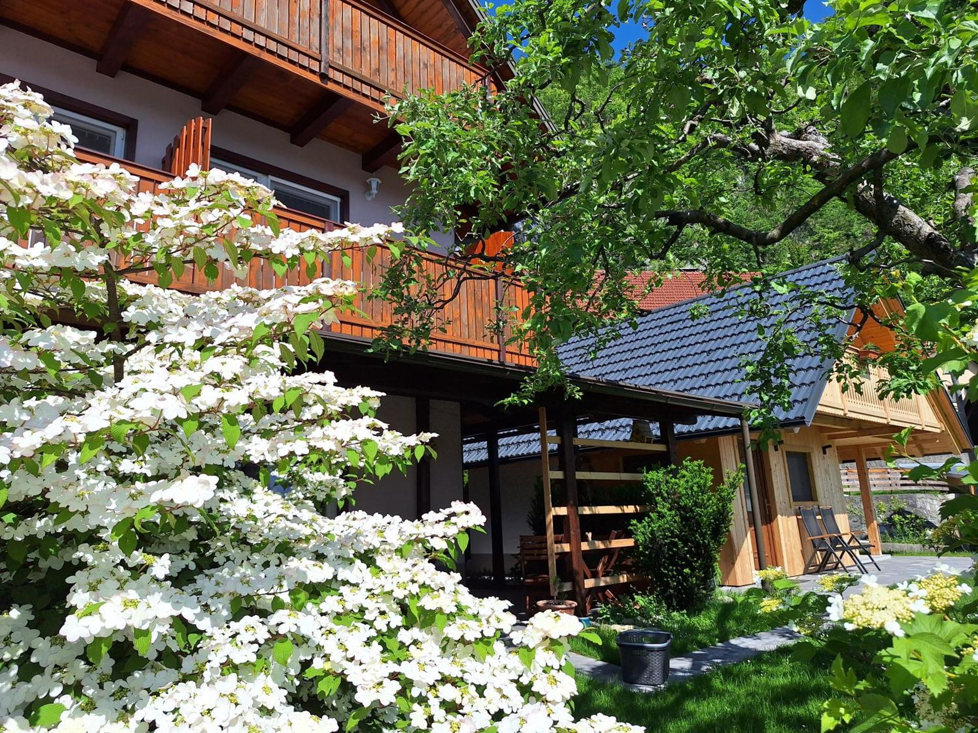 Rooms Ravnik Bled Zewnętrze zdjęcie